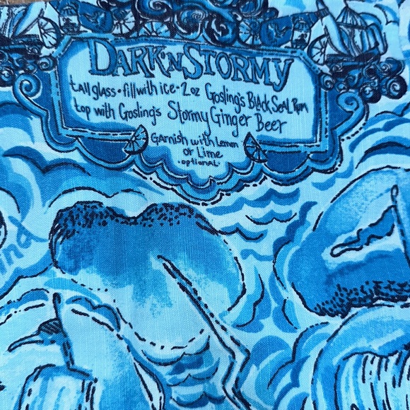 🦄 Rare Htf Holy Grail Lilly Pulitzer Goslings’s Dark N Stormy Roslyn Skirt 6 - Picture 6 of 11